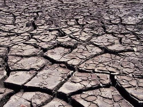  困扰|非洲人为温饱困扰，为何却不种积极种粮食呢？其实有3点阻碍