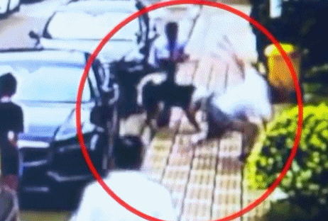  近期|警惕！近期高发，有医院一天接诊119人