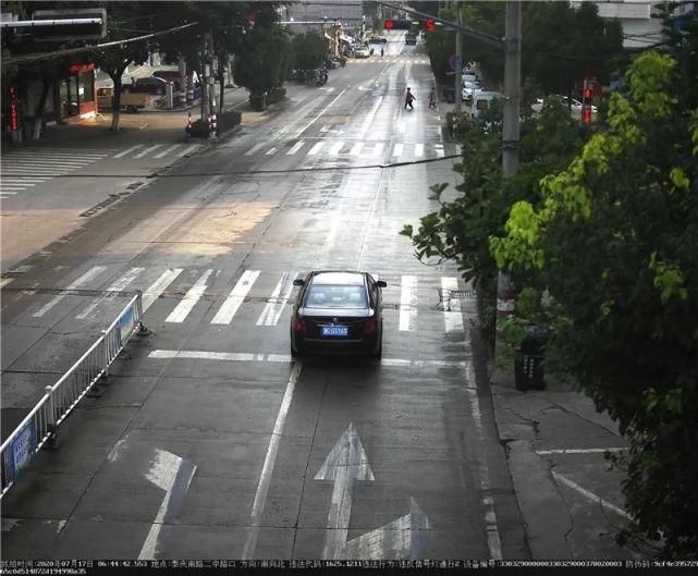 驾驶机动车违反道路|泰顺这些车主被曝光！