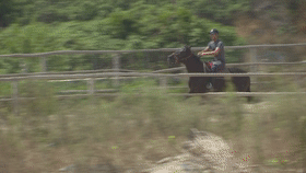  马冲进|3男子骑马冲进海里救起12岁男孩！半个月后，噩耗传来…