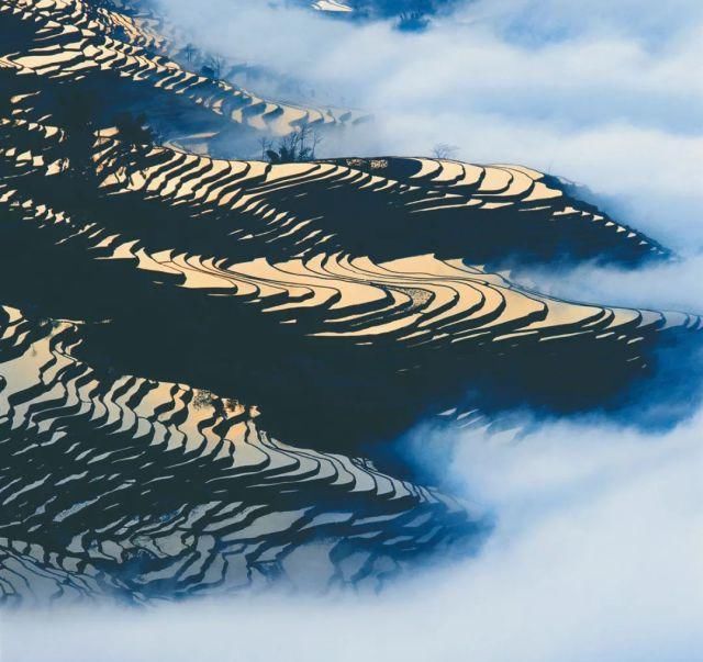 生长|云之南，一个生生不息、万物生长的地方