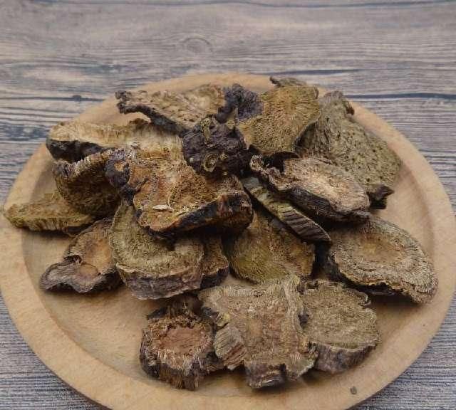 土大黄|学识《中华本草》土大黄