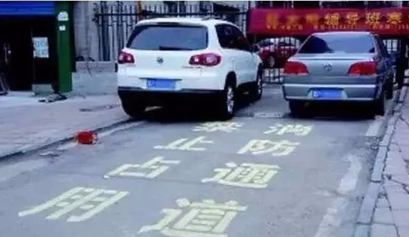 共享|争做城市“啄木鸟”,共享幸福单县城!