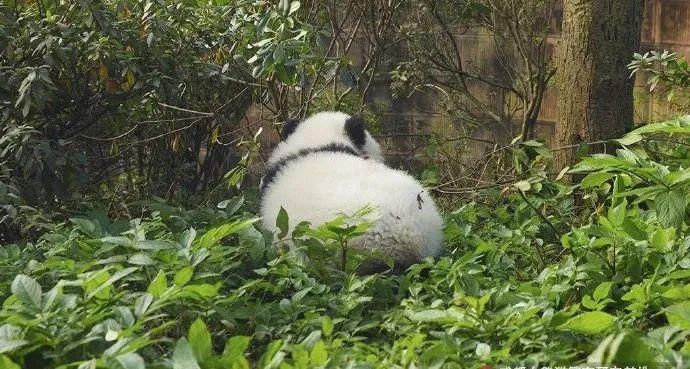 故事|出彩“滚滚” | 你有你的“三十而已”,我们的三十又是另一个故事~