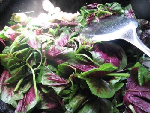  通畅|这菜在农村很普通，一斤2块钱，下饭开胃，口臭消失了，肠道通畅