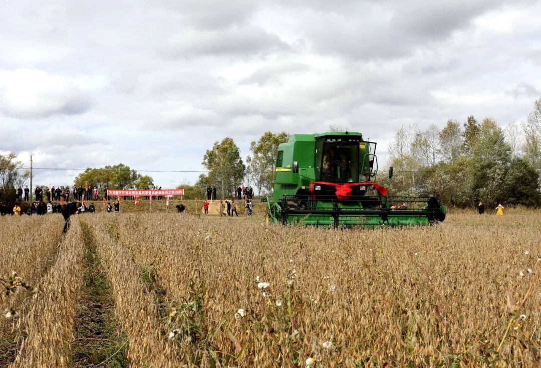 大兴安岭|兴安大地泛“金浪”，丰收的号角已吹响！