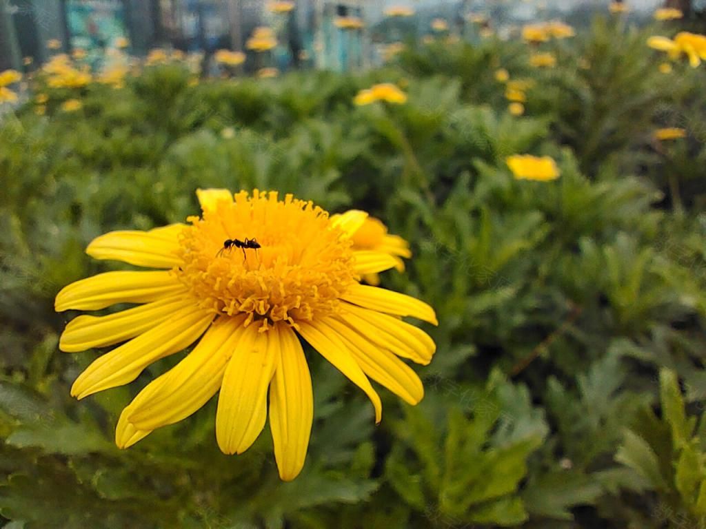  iQOO|以下克上的好家伙 iQOO Neo3的上手体验