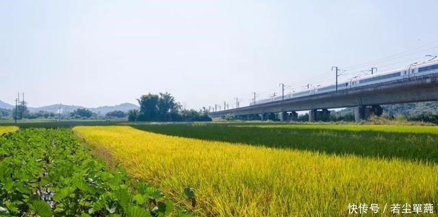 小城|广东人不能吃辣这座距省会1小时的粤北小城,能把你辣的头掉!