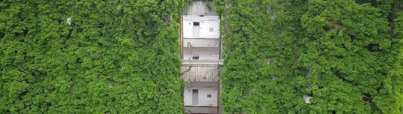  二维码|大数据与乡村振兴 | 当修文猕猴桃遇上二维码