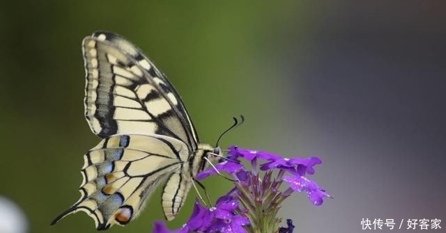 起走|?人生本过客,何须太执着