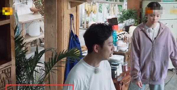  黄磊|《向往的生活》最金贵的嘉宾, 黄磊不敢让她干活, 因为赔不起!