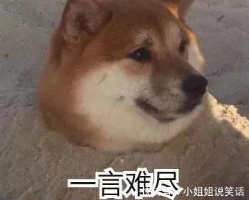  拯救|“再好的发型也无法拯救颜值的差距！”网友：太真实了哈哈哈