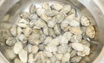 新鲜|吃花甲总咬到沙子？教你一个小技巧，让花甲沙子吐得干干净净！