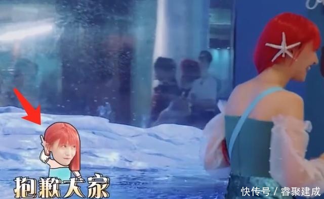 杨迪|郑爽录制节目不上心,贾玲节目组先后帮忙圆场,杨迪最终说了实话