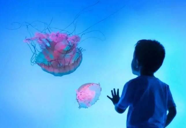  汉海海洋公|晒旅游精品 · 晒文创产品丨来一场畅游巴南都市乐园之旅