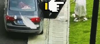 随地大小便|因为憋不住，有人在高速上干这事，车牌被曝光！