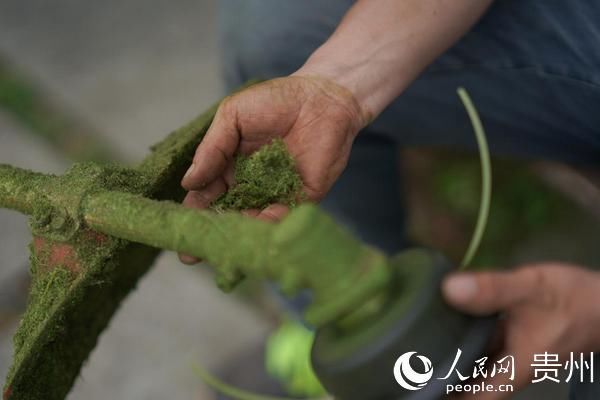 种树|周贞华：从挖煤到种树 从这双手发现守护绿色的秘密