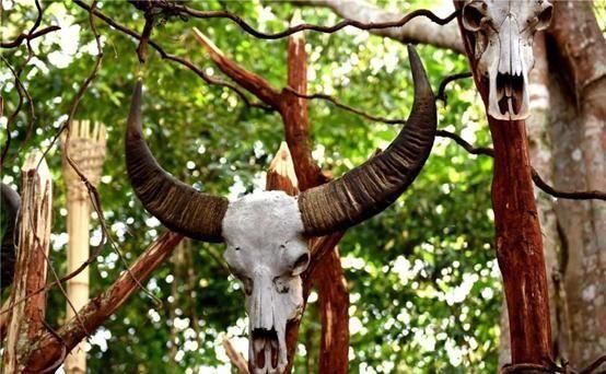  完整|全国仅有50万人口，中国最完整的原始部落，你知道在哪里吗