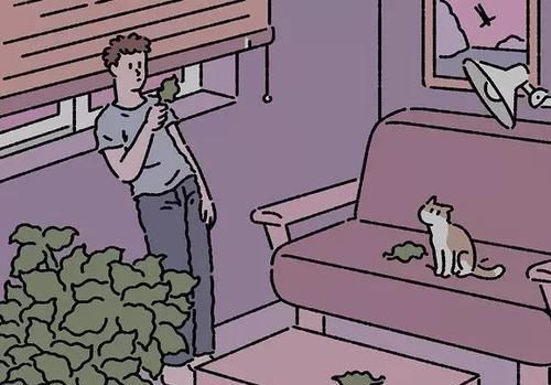 养老|“我的彩礼钱,凭啥给你买房”“不给也行,你给他们养老”