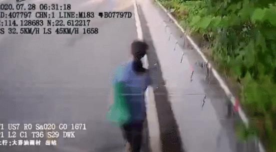 司机|公交司机低头捡物碾死路人，险带全车冲下桥，交警：行人违规上桥