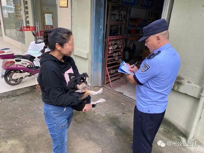 文明城市|文明城市创建：别让自己和喜爱的狗狗成为不文明......