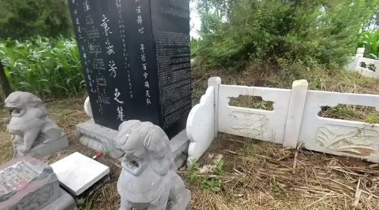  行医|老中医行医80多年，离世后将特效药方刻在墓碑上，供后人借鉴