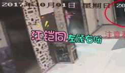  日报|娱乐日报|毛晓彤新恋情曝光？金晨汪汐潮再被拍？孟佳solo倒数第一？