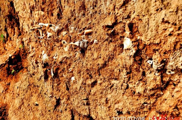  文化公园|山西发现疑似长平之战尸骨坑：尸骨曾被收购做饲料 现拟建国家文化公园