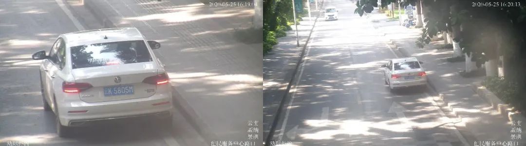 市民|市民请注意！麻烦你不要毁了中国云南西双版纳的形象