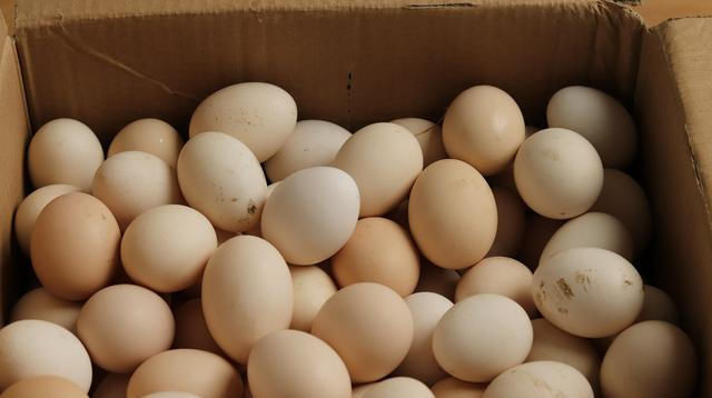  箱里面|鸡蛋不要放冰箱，教你保存小妙招，放三个月都不坏，省钱又实用
