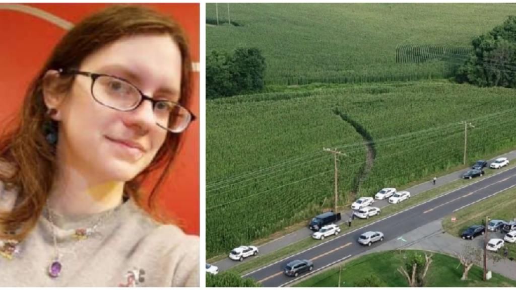 警方|玉米地里冒出一辆汽车,旁边竟躺着一具女尸