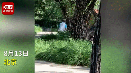  警方|大爷在玉渊潭用弹弓打鸟，警方介入调查