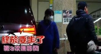  抓拍|郭碧婷产女细节被曝，向佐发文警告，是什么让他突然发飙？