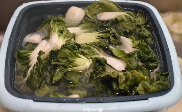 简单|入秋了，用3个食材煮这汤，做法简单鲜美又滋润，隔三差五就会做