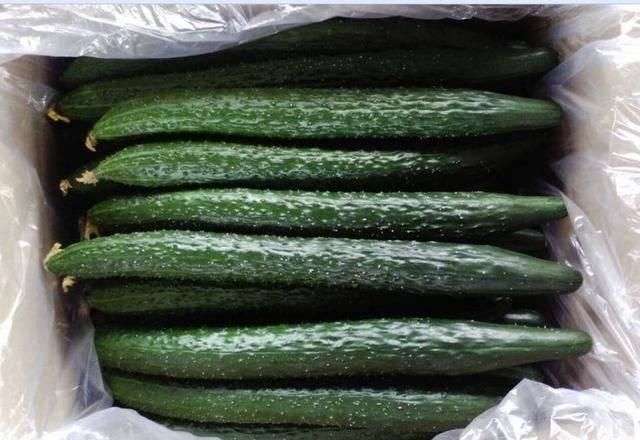 常见|16种常见蔬菜的挑选技巧,做了一辈子饭都不一定知道哦,快来收藏