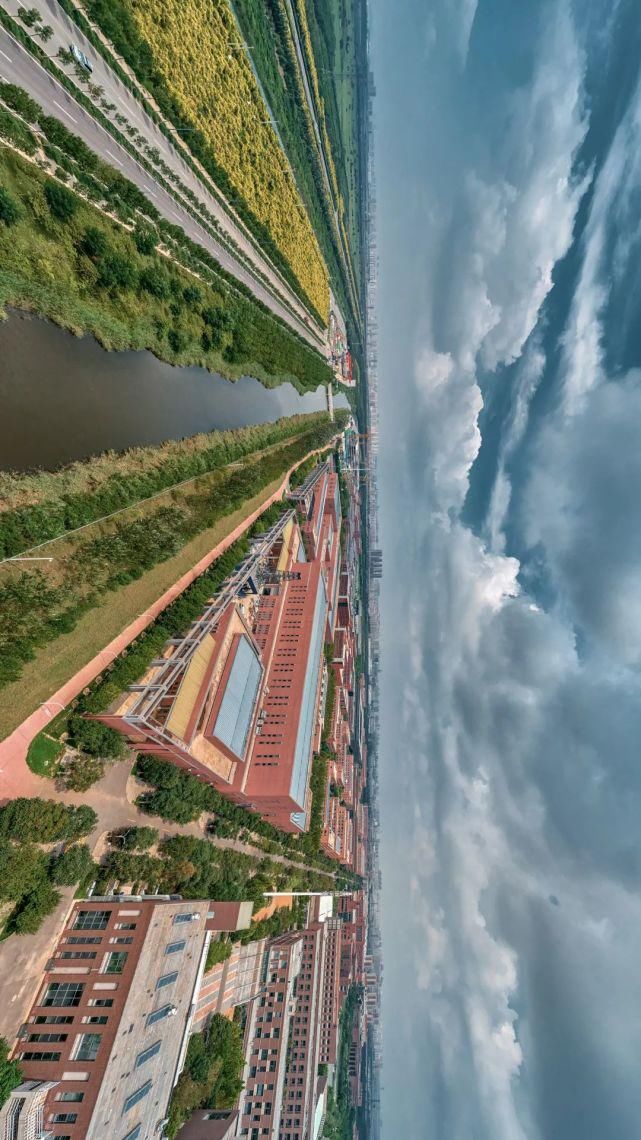 北洋园|啊,我的天大啊!