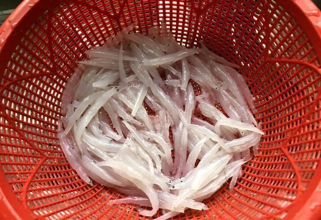 好看|这种鱼高蛋白低脂肪,用它炒蛋味道鲜还没刺,加点配菜好看更营养