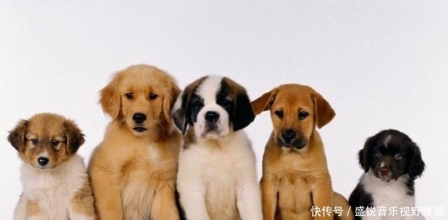 辈出|“宅子出现三喜,家中能人辈出”,这3喜究竟是什么,准不准?