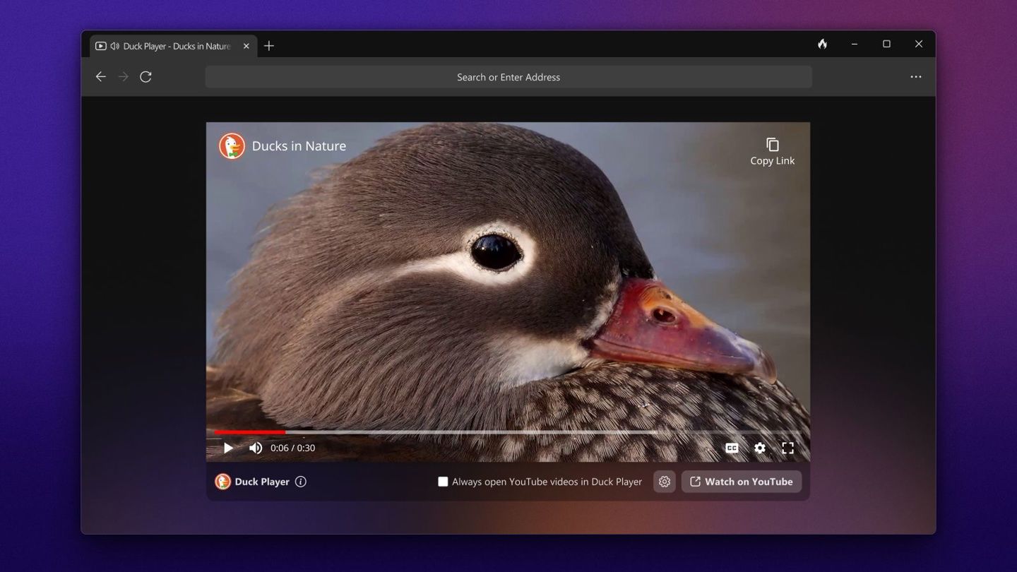 主打隐私保护，Windows 版 DuckDuckGo 浏览器开启公测