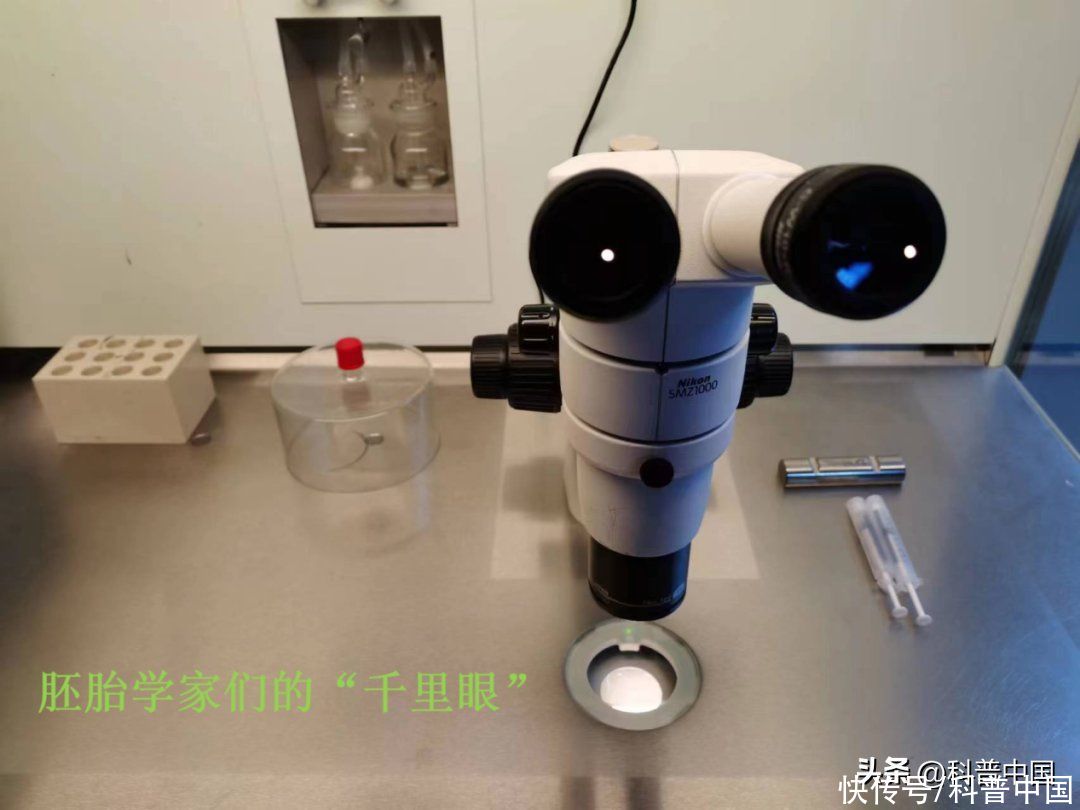 试管婴儿是在试管里出生的吗(试管婴儿就是从试管里出生的孩子吗？)