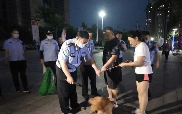 动物医院|严厉打击！我市3部门联合执法