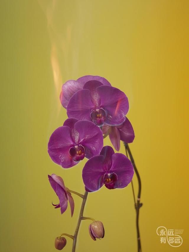 这场|永远有多远？工美馆的这场展览，请你来思考“生与死”