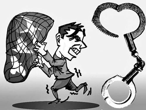  大学生|大学生非法售卖鹦鹉，一审被判六年：人工驯养也属于濒危野生动物