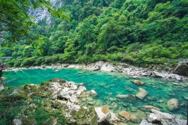  长白山|三伏暑热天，让我带你去这些只有25°的地方纳凉吧！