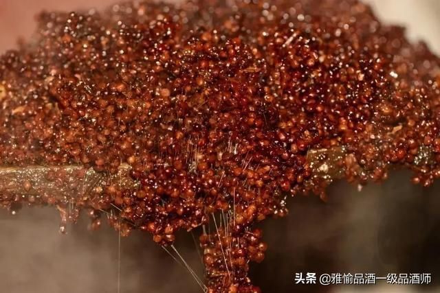 白酒|白酒的“五绝”，缺一不可