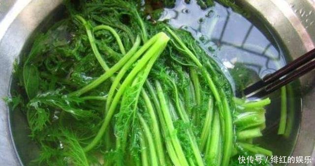 血管|常给孩子吃此菜,再贵也别省,排出毒素,血管不堵,视力越来越好