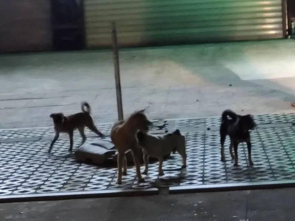 最新|长乐最新不文明现象曝光!看看这次谁“上榜”了?