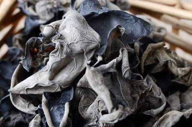  木耳|别再用“清水”泡发木耳了，水里“加一物”，泡发又快又干净！