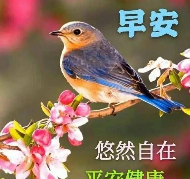 深呼吸|深呼吸，呼吸花香，装点今天的心情！