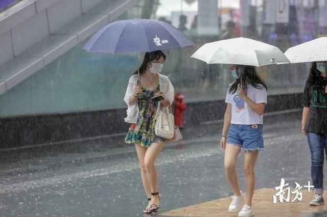 深圳市|图集丨深圳暴雨雷电双预警，开启“疯狂倒水”模式